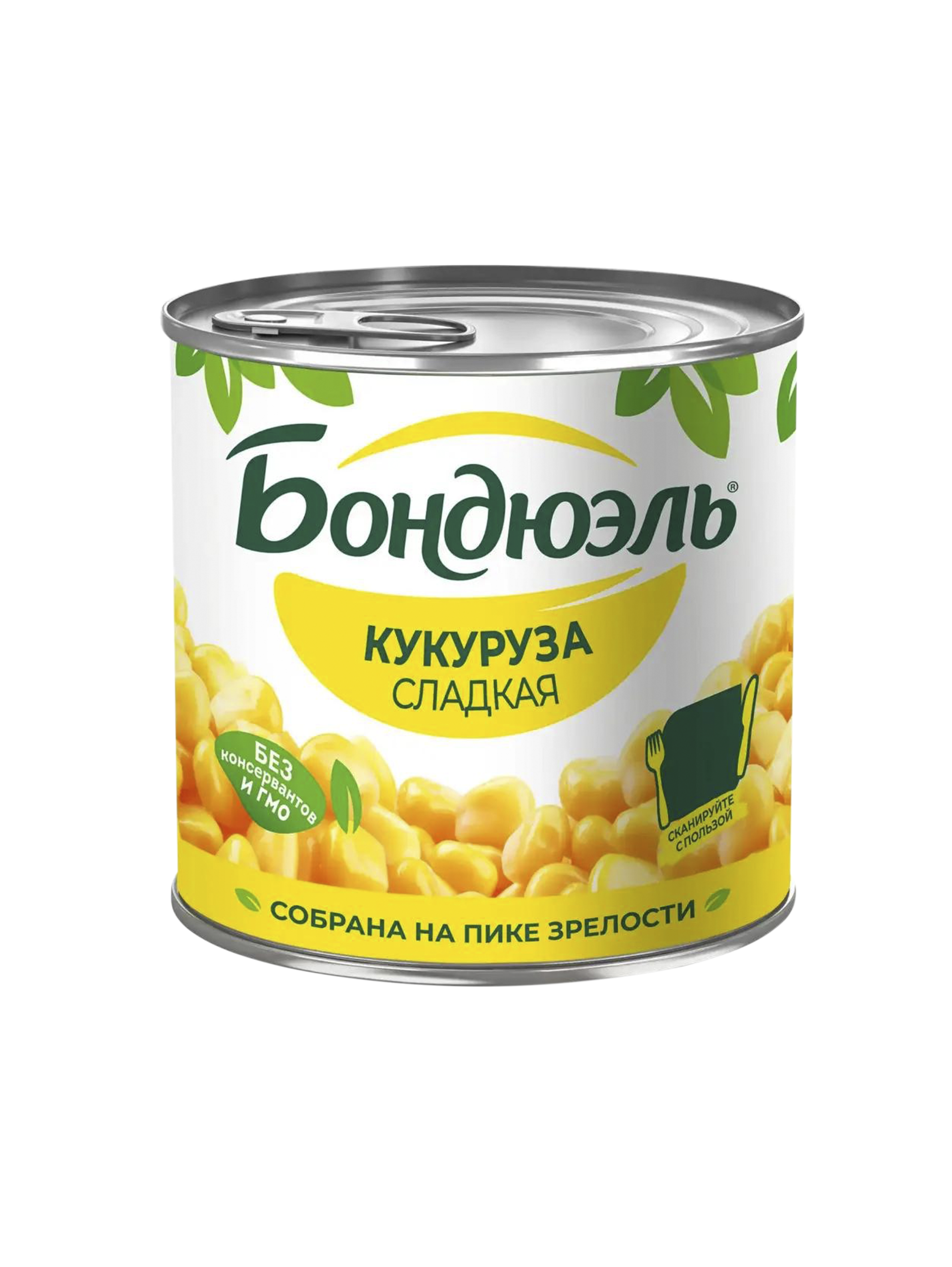 1 копия